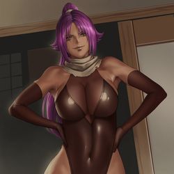 This is a pixiv picture whose title is 四楓院夜一.