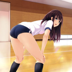 This is a pixiv picture whose title is ブルマー部の初日の出に感動.