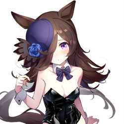 This is a pixiv picture whose title is バニーライス.