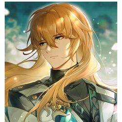 This is a pixiv picture whose title is 星穹.