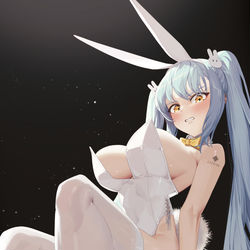 This is a pixiv picture whose title is バニープリバティ.