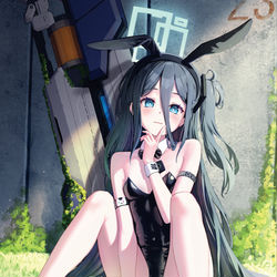 This is a pixiv picture whose title is バニーアリス.