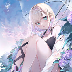 This is a pixiv picture whose title is 梅雨.