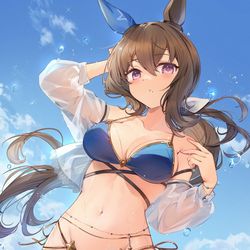 This is a pixiv picture whose title is 水着アヤベさん.