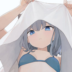 This is a pixiv picture whose title is シロコ.