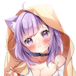 This is a pixiv picture whose title is 🐈.