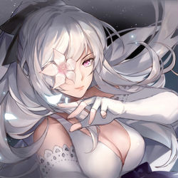 This is a pixiv picture whose title is White Flower.