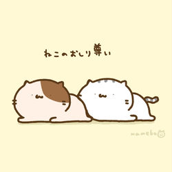 This is a pixiv picture whose title is 猫の日.