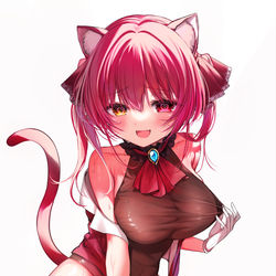 This is a pixiv picture whose title is ねこ船長.