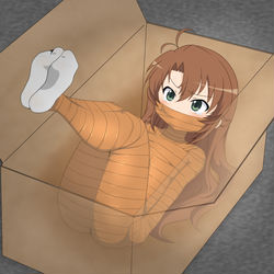 This is a pixiv picture whose title is 配送されるこまちゃん.