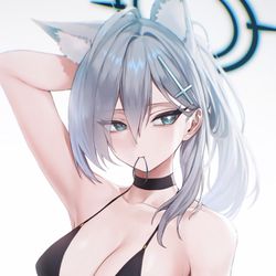 This is a pixiv picture whose title is 水着ポニテクロコ.
