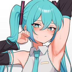 This is a pixiv picture whose title is 腋見せミク.