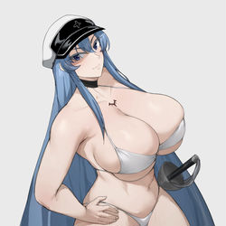This is a pixiv picture whose title is Esdeath bikini.