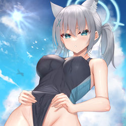 This is a pixiv picture whose title is シロコ.