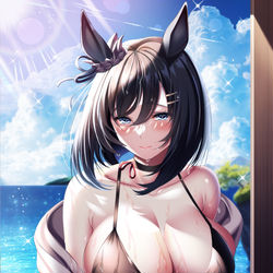 This is a pixiv picture whose title is 水着エイシンフラッシュ.