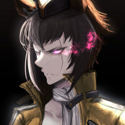 This is a pixiv picture whose title is 始祖.