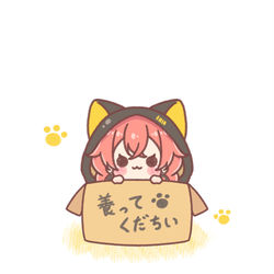 This is a pixiv picture whose title is ぴっかぴかのあかりちゃん🐱💫.