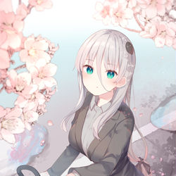 This is a pixiv picture whose title is 桜の季節.