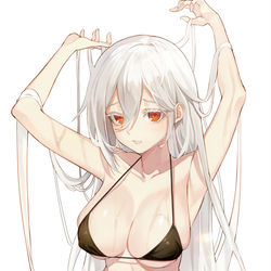 This is a pixiv picture whose title is d.