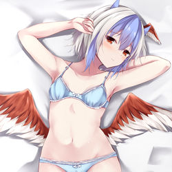 This is a pixiv picture whose title is 朱鷺子。.