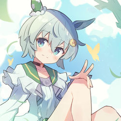 This is a pixiv picture whose title is スカイ！.