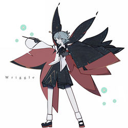 This is a pixiv picture whose title is リグルさん。.