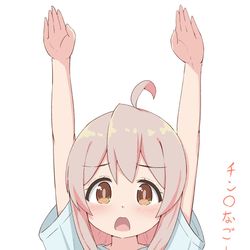This is a pixiv picture whose title is まひろクンによるチンアナゴー.