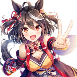 This is a pixiv picture whose title is キタサンブラック.
