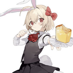 This is a pixiv picture whose title is ルーミア.