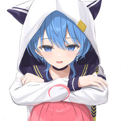 This is a pixiv picture whose title is miComet.