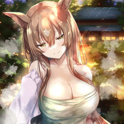 This is a pixiv picture whose title is 温泉ダイヤちゃん.