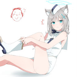 This is a pixiv picture whose title is シロコ.