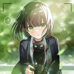 This is a pixiv picture whose title is 「猫に似ている写真部の先輩」.