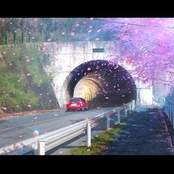 This is a pixiv picture whose title is 春のトンネル.