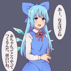 This is a pixiv picture whose title is 知識量が上がると成長するチルノちゃん.