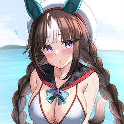 This is a pixiv picture whose title is 🤔…❓.