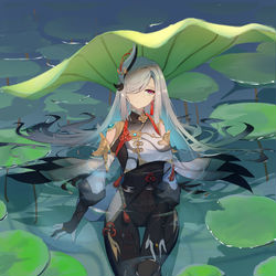 This is a pixiv picture whose title is 申鹤.