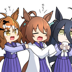 This is a pixiv picture whose title is ウママトメ　14.