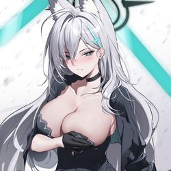 This is a pixiv picture whose title is シロコテラー -  Shiroko.