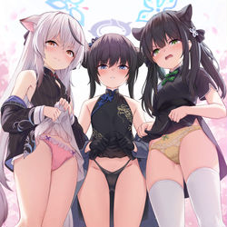 This is a pixiv picture whose title is ボクの理想の山海経学園.