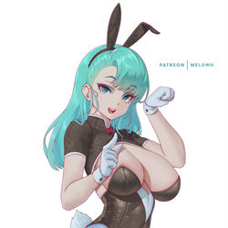 This is a pixiv picture whose title is Bulma.