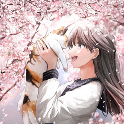 This is a pixiv picture whose title is 春に包まれて.