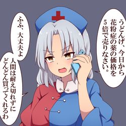 This is a pixiv picture whose title is 需要期の値上げが半端ない永琳.
