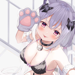 This is a pixiv picture whose title is 白猫.