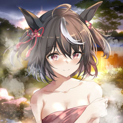 This is a pixiv picture whose title is 温泉キタちゃん.