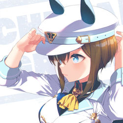 This is a pixiv picture whose title is シュヴァルグラン.
