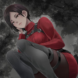 This is a pixiv picture whose title is エイダ.