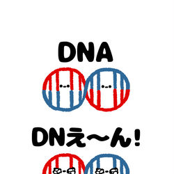 This is a pixiv picture whose title is no.1976 『 DNえ〜ん！ 』.