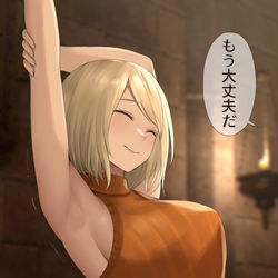 This is a pixiv picture whose title is アシュリーに指示を….