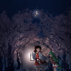 This is a pixiv picture whose title is 夜桜.